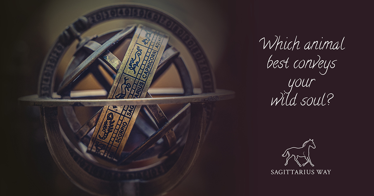 which animal conveys your wild soul ? Sagittarius way