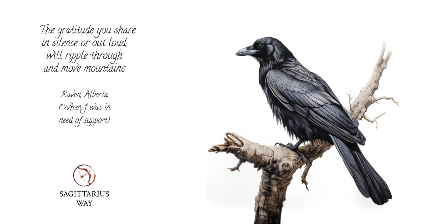 Raven's wisdom Gratitude's silent power moves mountains, propels unimaginable reaches