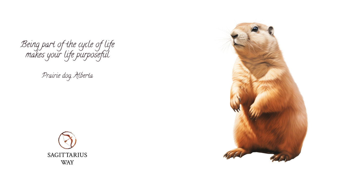 Life's purpose Embrace each stage; Prairie dog shares meaningful perspective