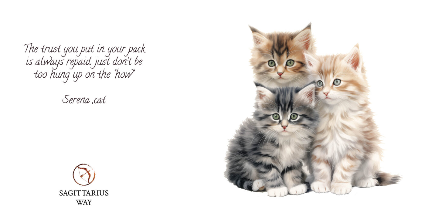 Trust, balance, love - let your pack reciprocate without overthinking 'how
