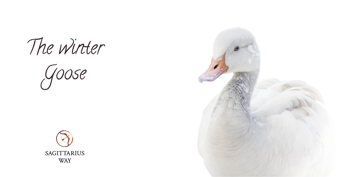 Embrace authenticity, inspired by the snow goose's self-purity. Zodiac insights await