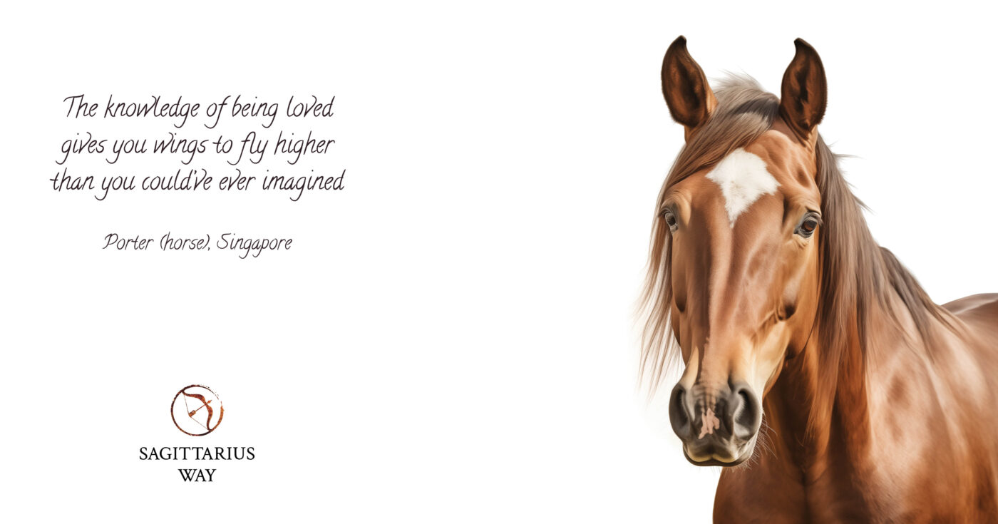 Love empowers Porter, the Singapore horse, to soar beyond imagination