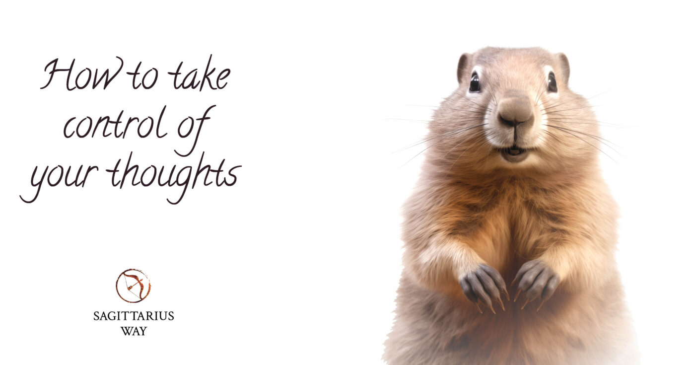 Navigating a Groundhog Day loop Strangely familiar, limited creativity, occasional drama, and energy struggles. Relatable