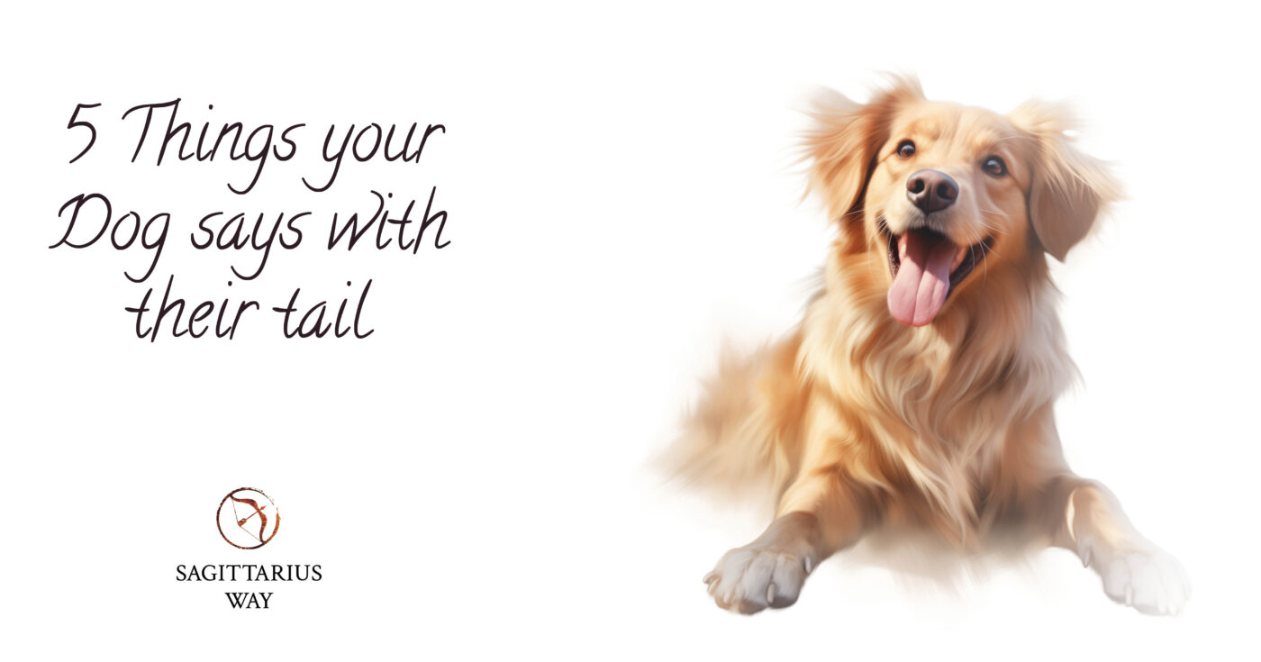Decode your dog's tail language. Get a free personalized session