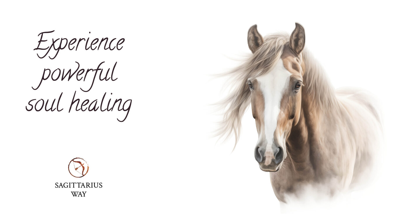 Harness the horse's strength Embrace the powerful connection for a transformative and enriching experience
