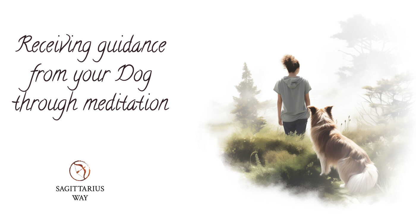 Dogs as spirit guides: Unveiling spiritual connections and meaningful companionship insights