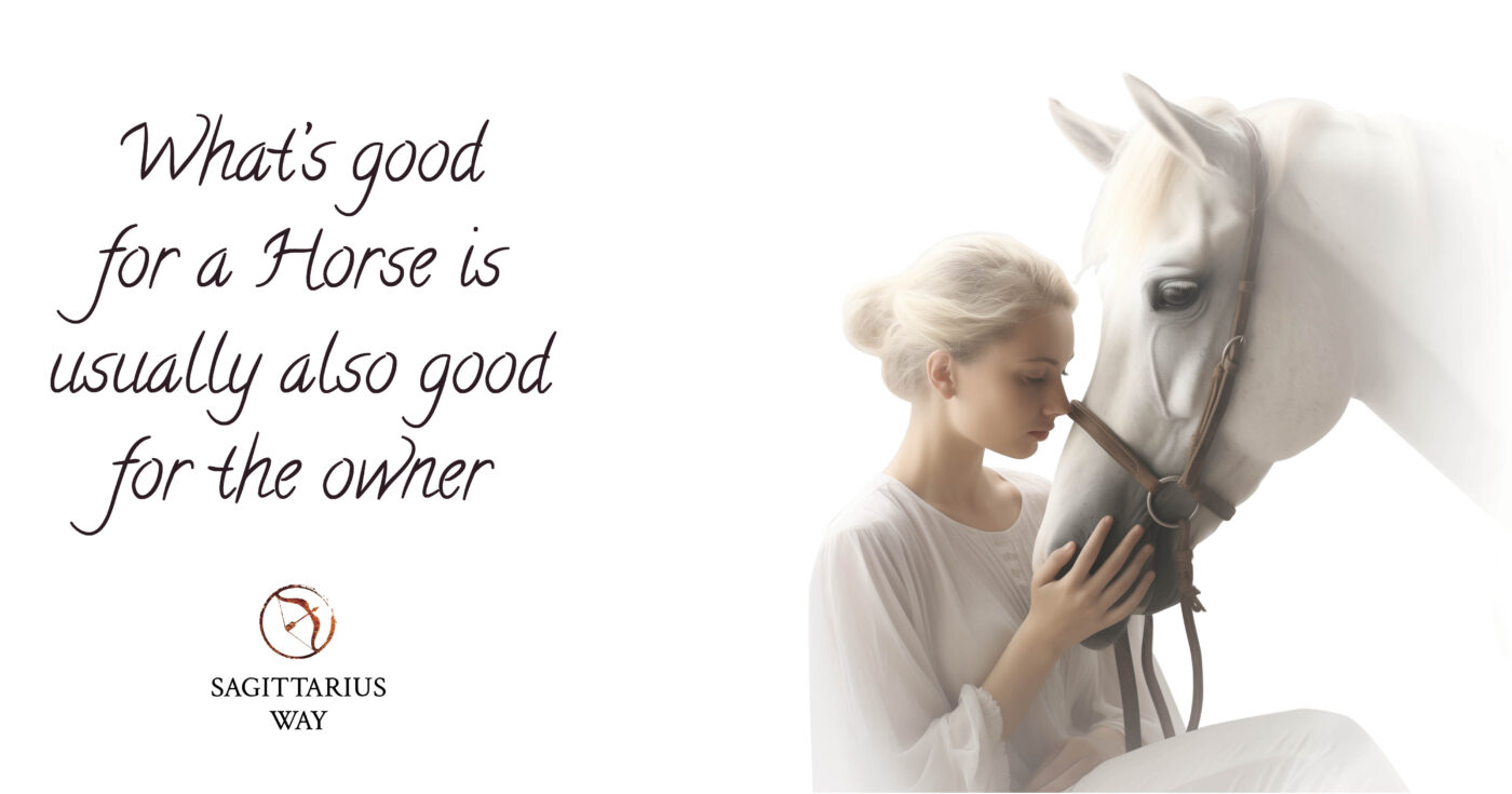 Discover Reiki's holistic benefits for horses: physical, emotional, and mental healing