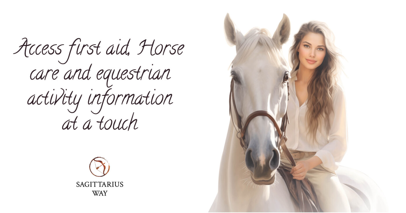 Explore top horse care apps for owners: scheduling, wellness, and statistics