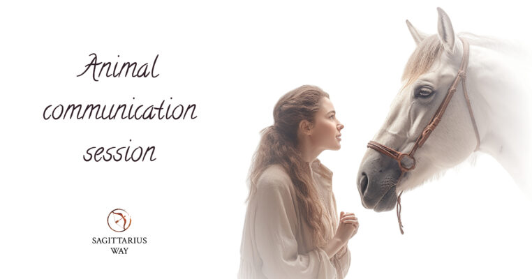 One hour animal communication