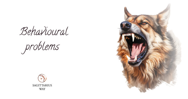 Behavioural problems