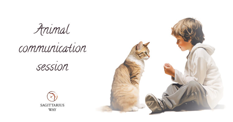 a cat and a boy