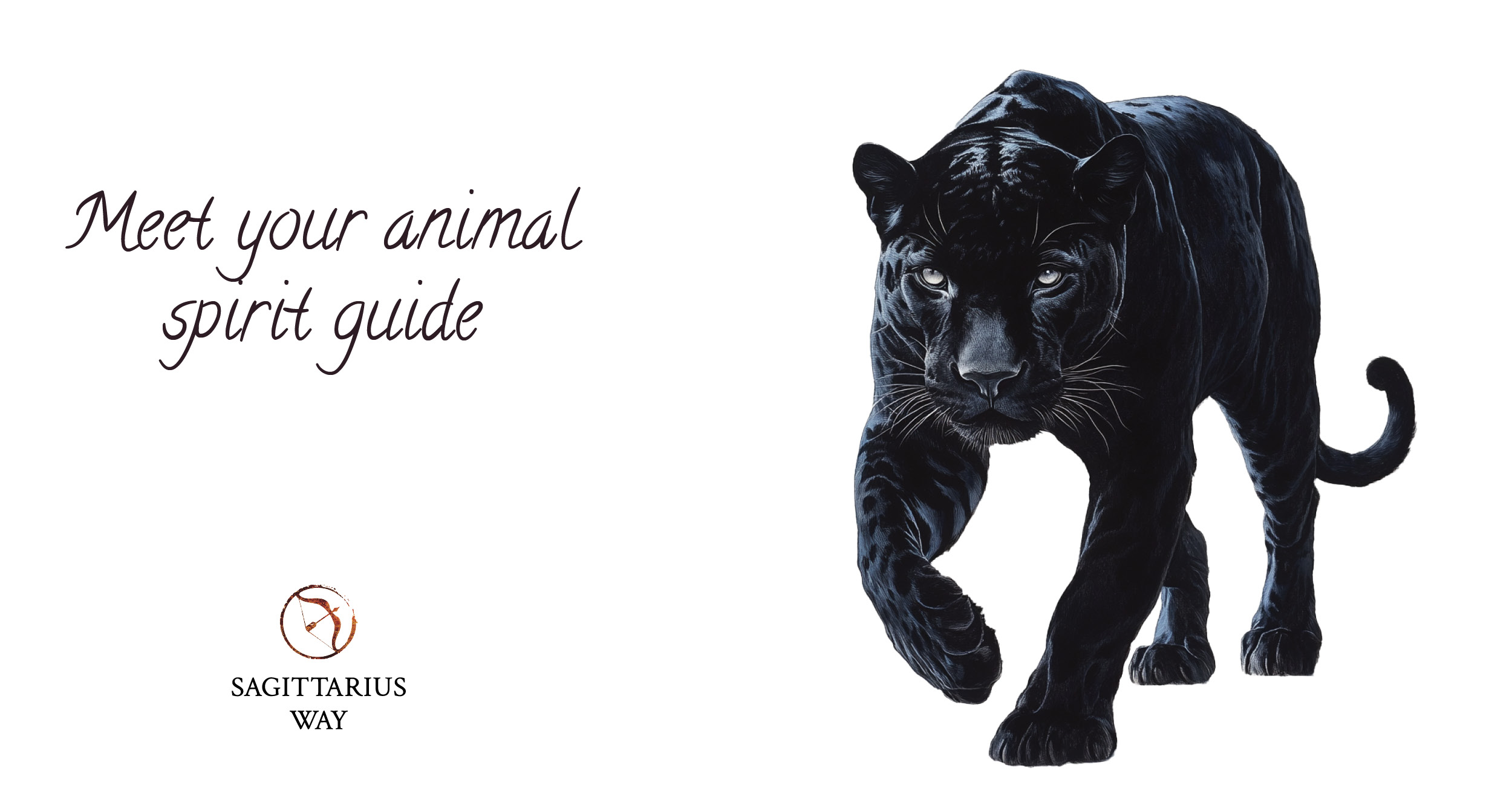 animal spirit guide