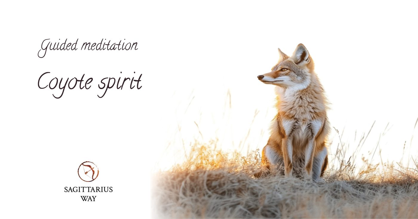 coyote spirit