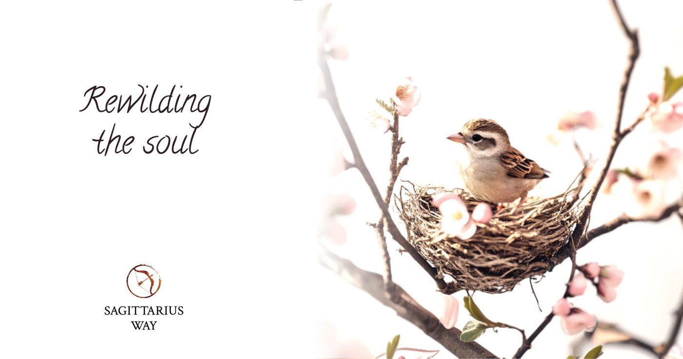 Rewilding the soul