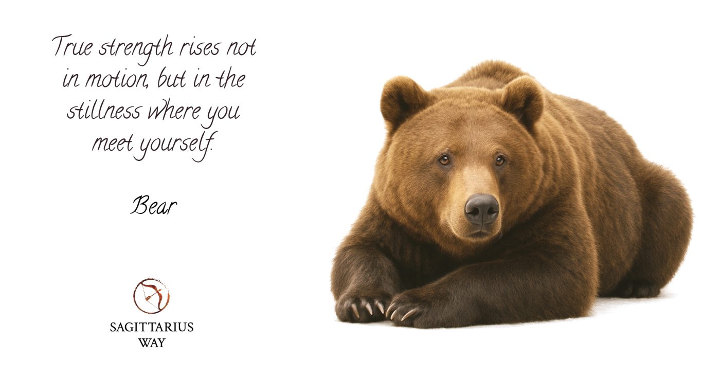 Bear wisdom