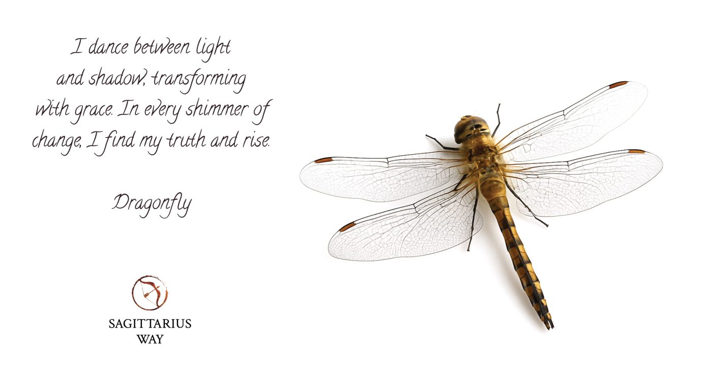 dragonfly wisdom