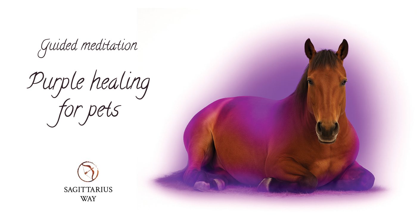 Purple healing for pets