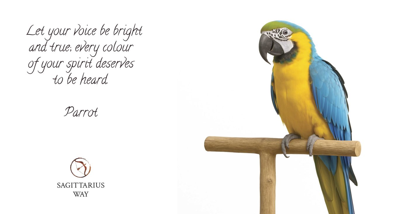 Parrot wisdom. Vibrant parrot symbolising communication, authenticity and joyful self-expression