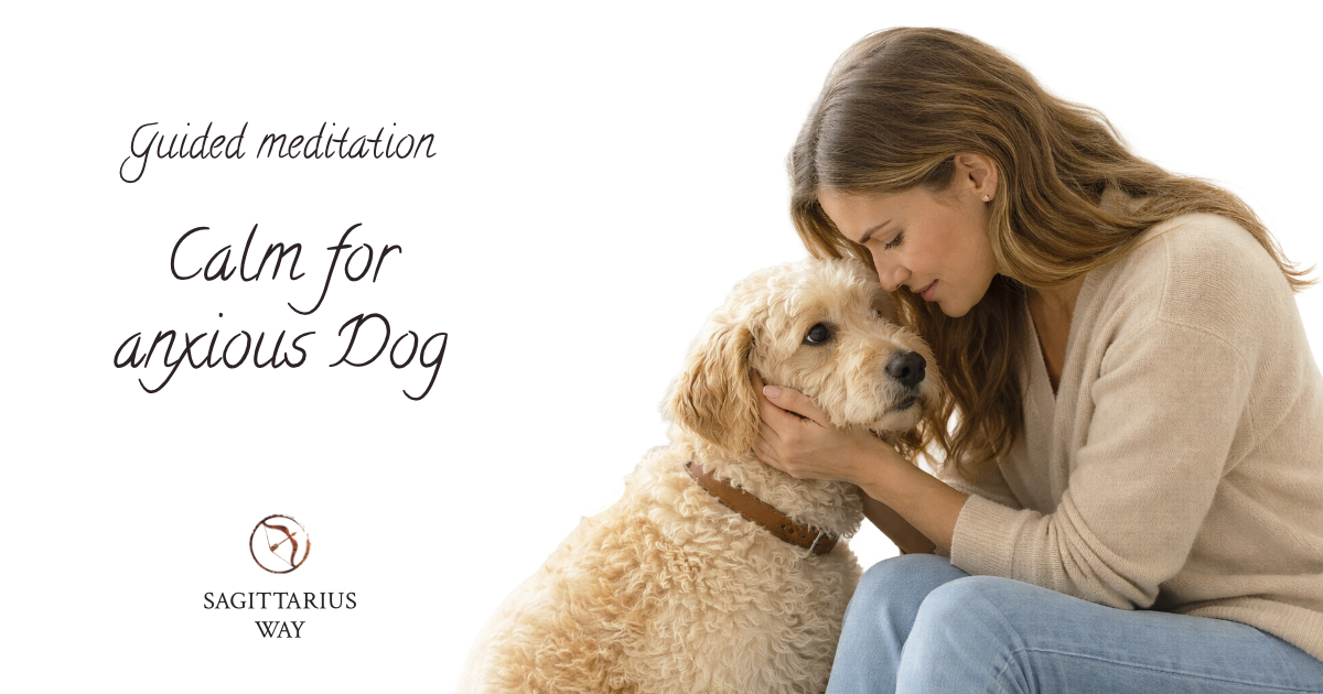 Woman gently calming an anxious dog at home through presence and quiet connection