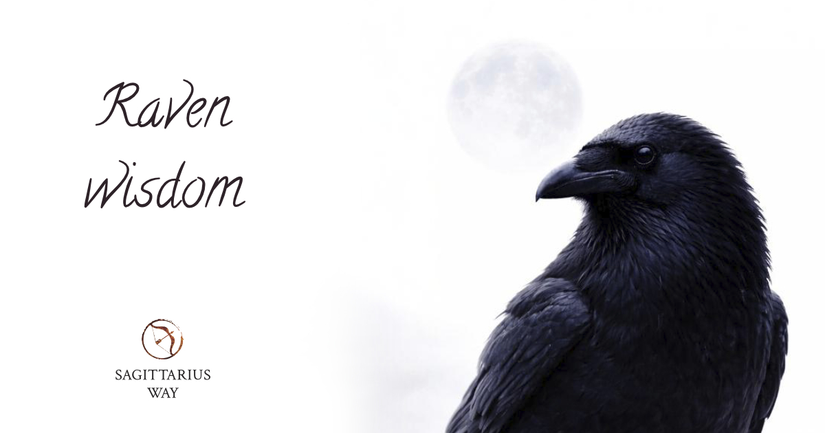Spiritual meaning of Raven