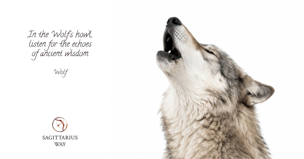 Animal spirit guide Wolf